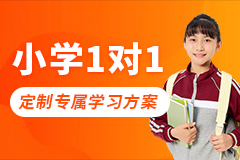 小学1对1辅导