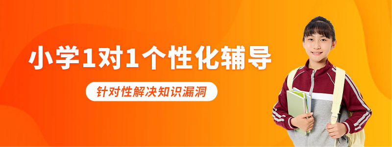 小学1对1辅导