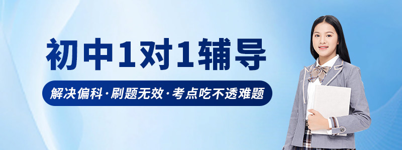 初中1对1辅导