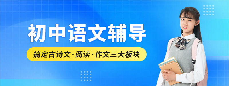 初中语文辅导