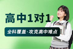 高中1对1辅导