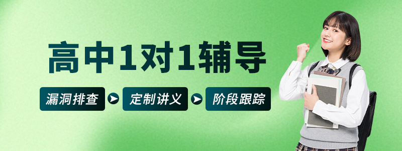 高中1对1辅导