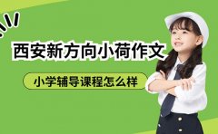 8月揭秘西安新方向小荷作文小学辅导课程怎么样