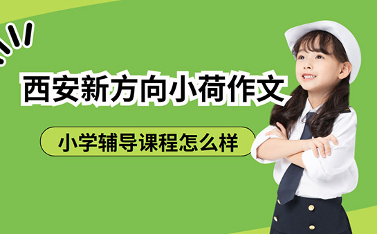 西安小学辅导班