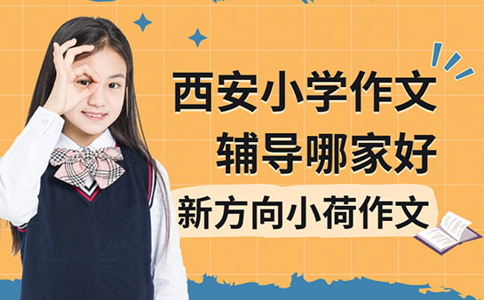 西安小学作文辅导