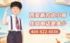 西安新方向小荷作文电话是多少 400-822-6036