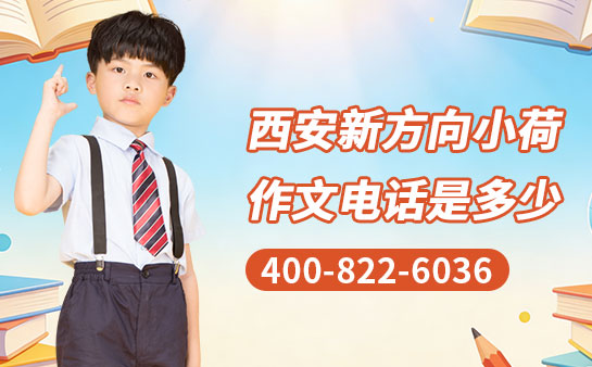 西安新方向小荷作文