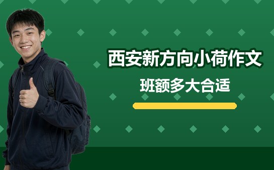 西安小学作文班班额多大合适（10月）