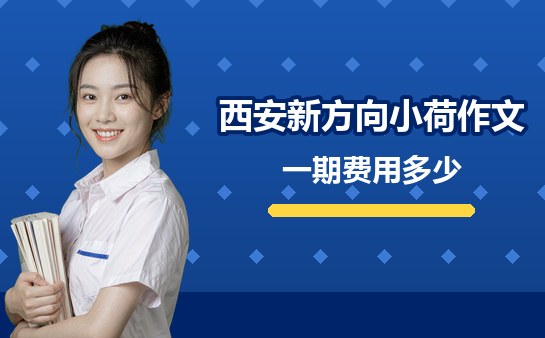 西安新方向小荷作文费用详情（10月）