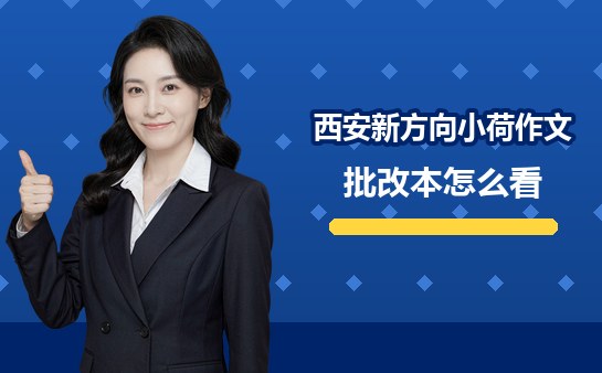 西安新方向小荷作文批改本怎么看