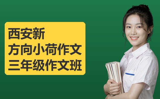 西安新方向小荷作文三年级作文班说明