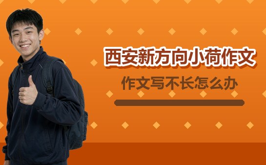 西安小学生作文写不长怎么练细节