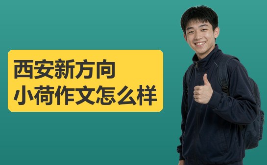 西安新方向小荷作文怎么样？可核验的角度
