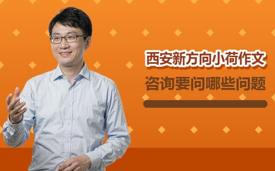 西安新方向小荷作文咨询要问哪些问题